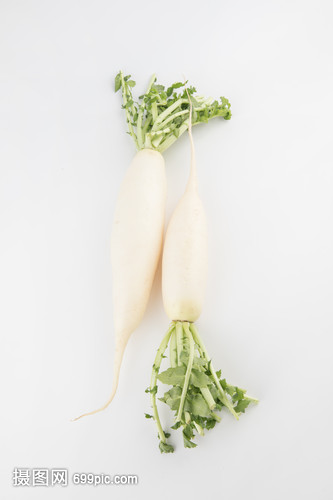 白蘿卜蔬菜