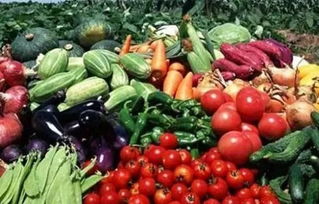 廣大市民注意啦 泊頭市創建省農產品質量安全縣倡議書