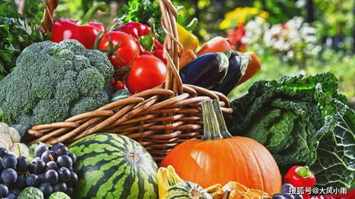 領(lǐng)鮮碼頭 打造一個(gè)社區(qū)化的生鮮超市