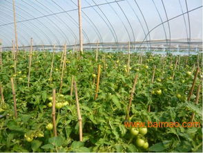 江蘇信譽(yù)好的戶外垂釣生產(chǎn)基地,江蘇垂釣,江蘇信譽(yù)好的戶外垂釣生產(chǎn)基地,江蘇垂釣生產(chǎn)廠家,江蘇信譽(yù)好的戶外垂釣生產(chǎn)基地,江蘇垂釣價(jià)格