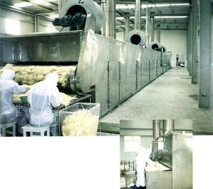 供應果蔬保鮮設備 脫水蔬菜水果干燥機 使用壽命長_機械及行業設備_世界工廠網中國產品信息庫