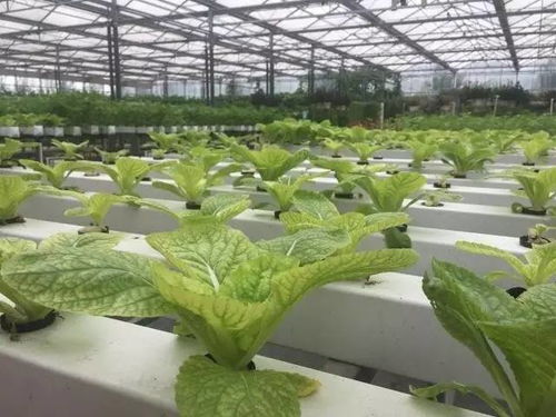 全球百項(xiàng)最佳科技創(chuàng)新獎(jiǎng)揭曉,9項(xiàng)中國(guó)黑科技華麗入選