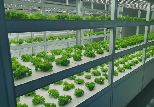 【智慧農(nóng)業(yè)】智慧農(nóng)業(yè)八大應(yīng)用場(chǎng)景