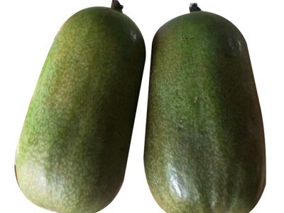 農(nóng)之寶農(nóng)寶商城 蔬菜類目引領(lǐng)便捷農(nóng)產(chǎn)品交易